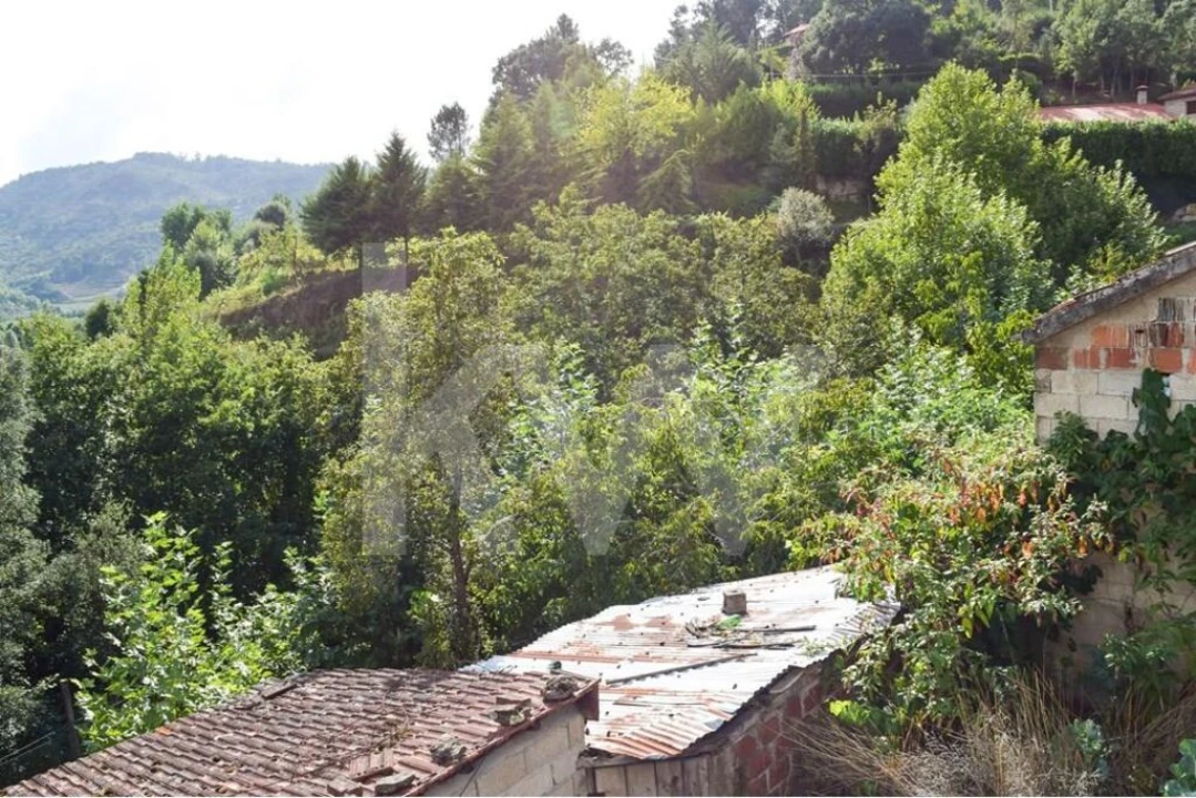 Moradia T3 para Venda em Basto Foto 18