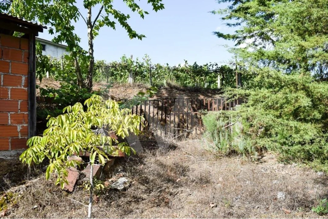 Moradia T3 para Venda em Basto Foto 13