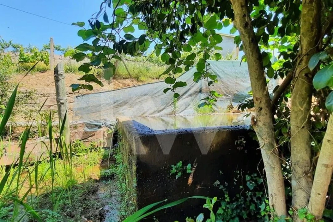 Moradia T3 para Venda em Basto Foto 37