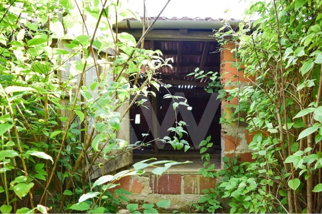 Moradia T3 para Venda em Basto Foto 6