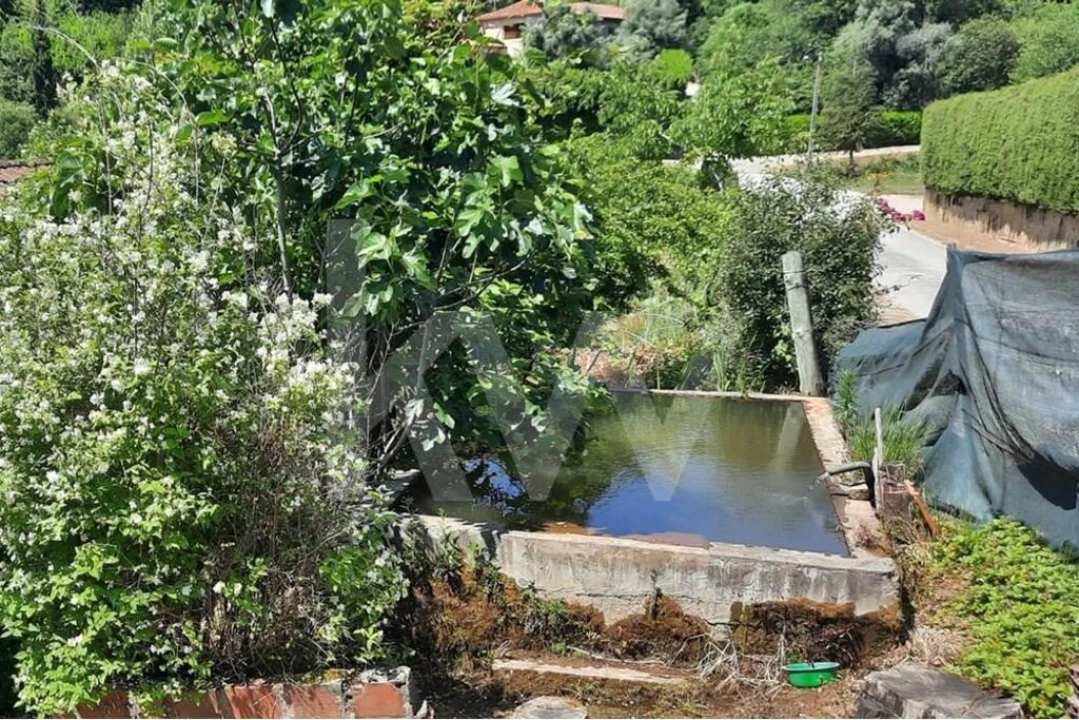 Moradia T3 para Venda em Basto Foto 41