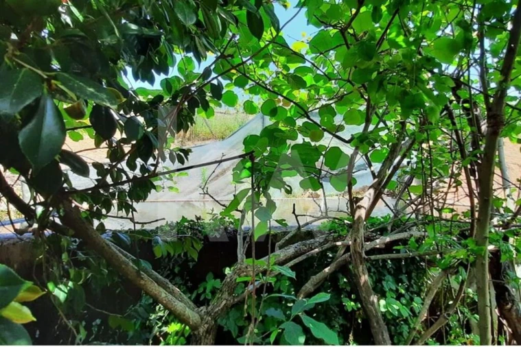 Moradia T3 para Venda em Basto Foto 39