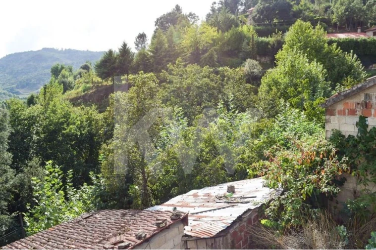 Moradia T3 para Venda em Basto Foto 18