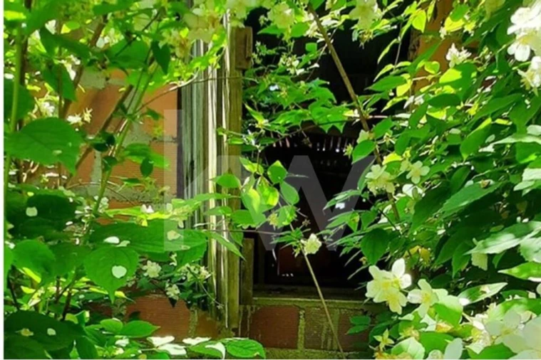 Moradia T3 para Venda em Basto Foto 42