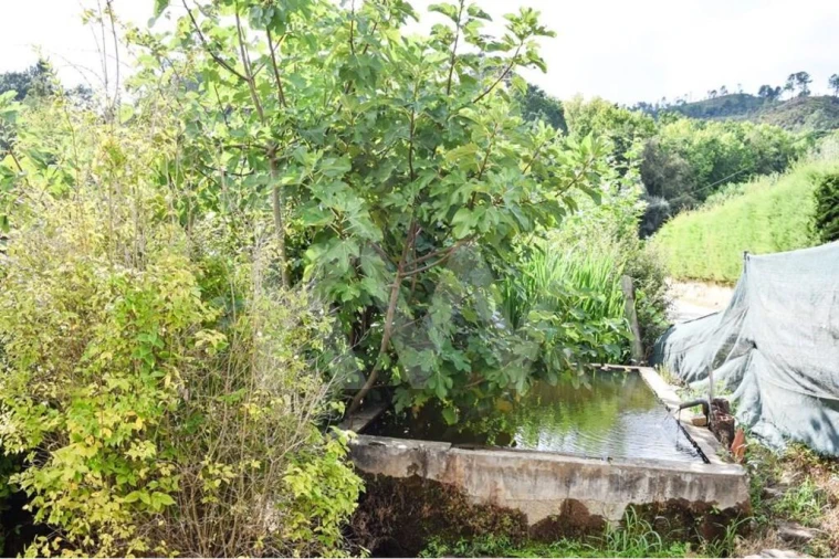 Moradia T3 para Venda em Basto Foto 5