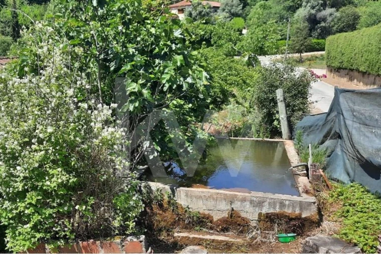 Moradia T3 para Venda em Basto Foto 41