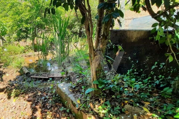 Moradia T3 para Venda em Basto Foto 38