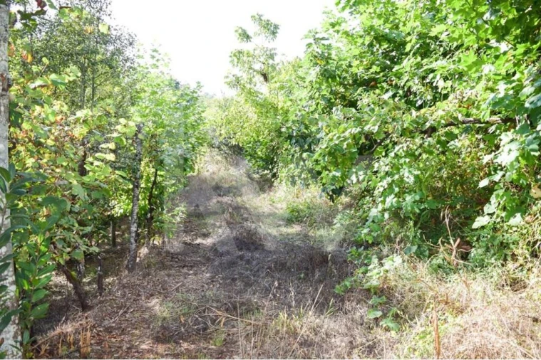 Moradia T3 para Venda em Basto Foto 20