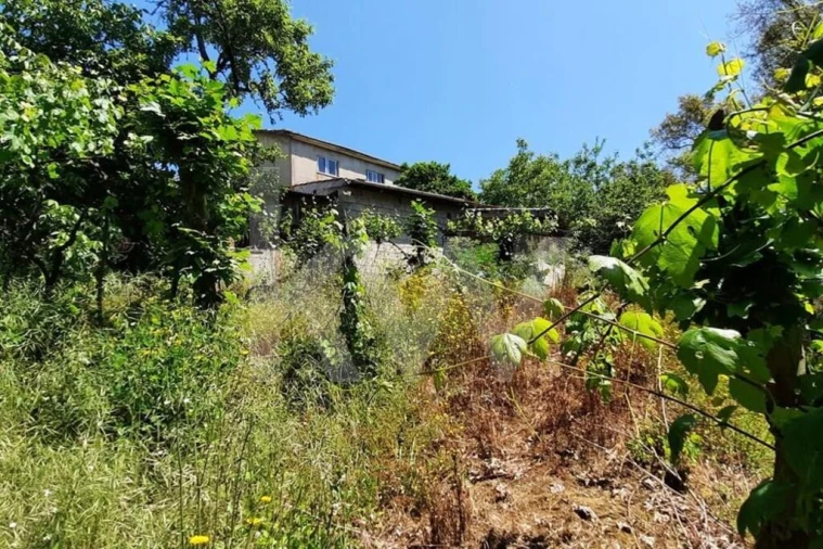 Moradia T3 para Venda em Basto Foto 36