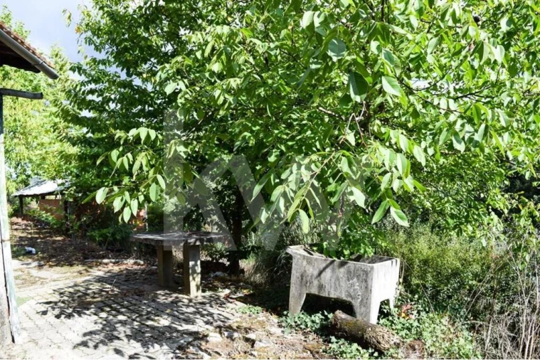 Moradia T3 para Venda em Basto Foto 10