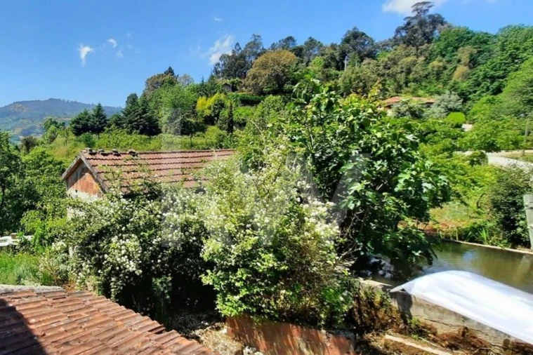 Moradia T3 para Venda em Basto Foto 29