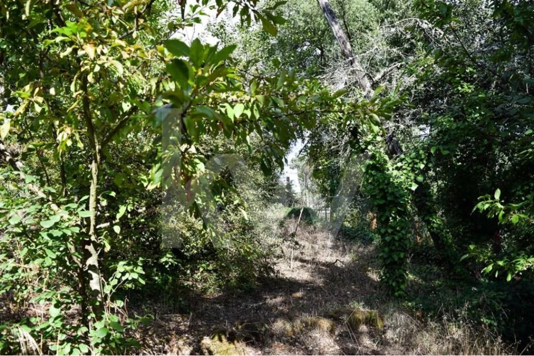 Moradia T3 para Venda em Basto Foto 12