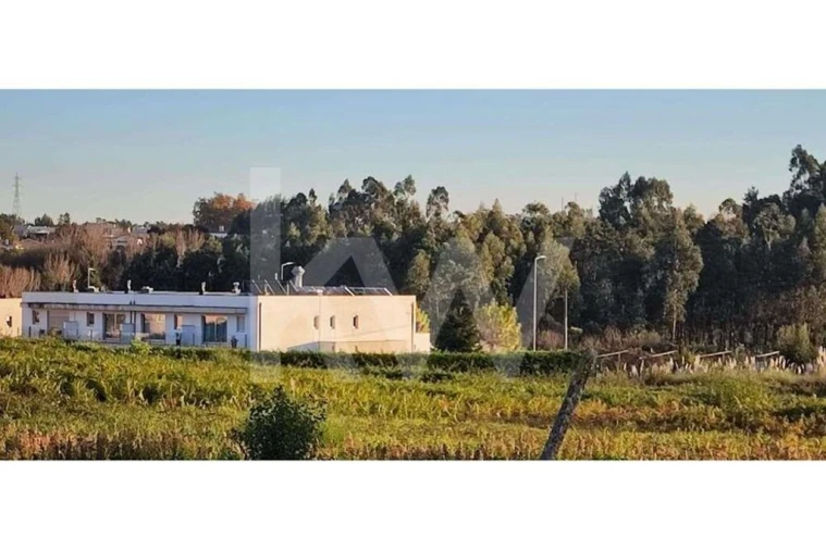 Terreno para Venda em Pedroso e Seixezelo Foto 20