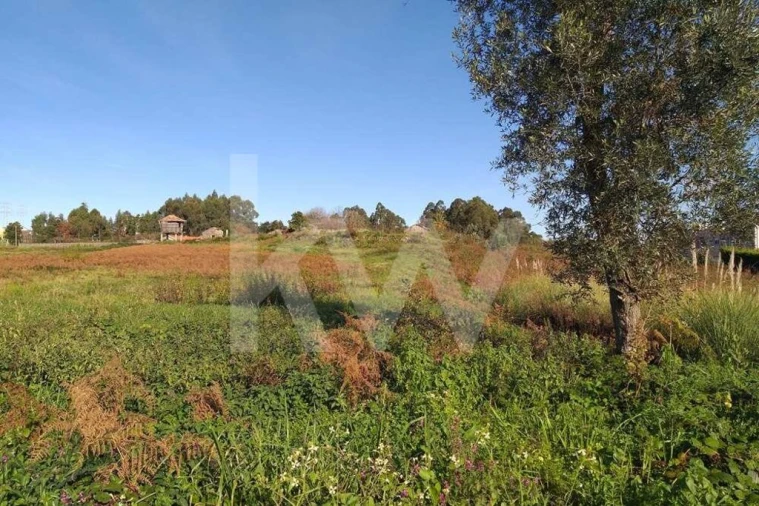 Terreno para Venda em Pedroso e Seixezelo Foto 7