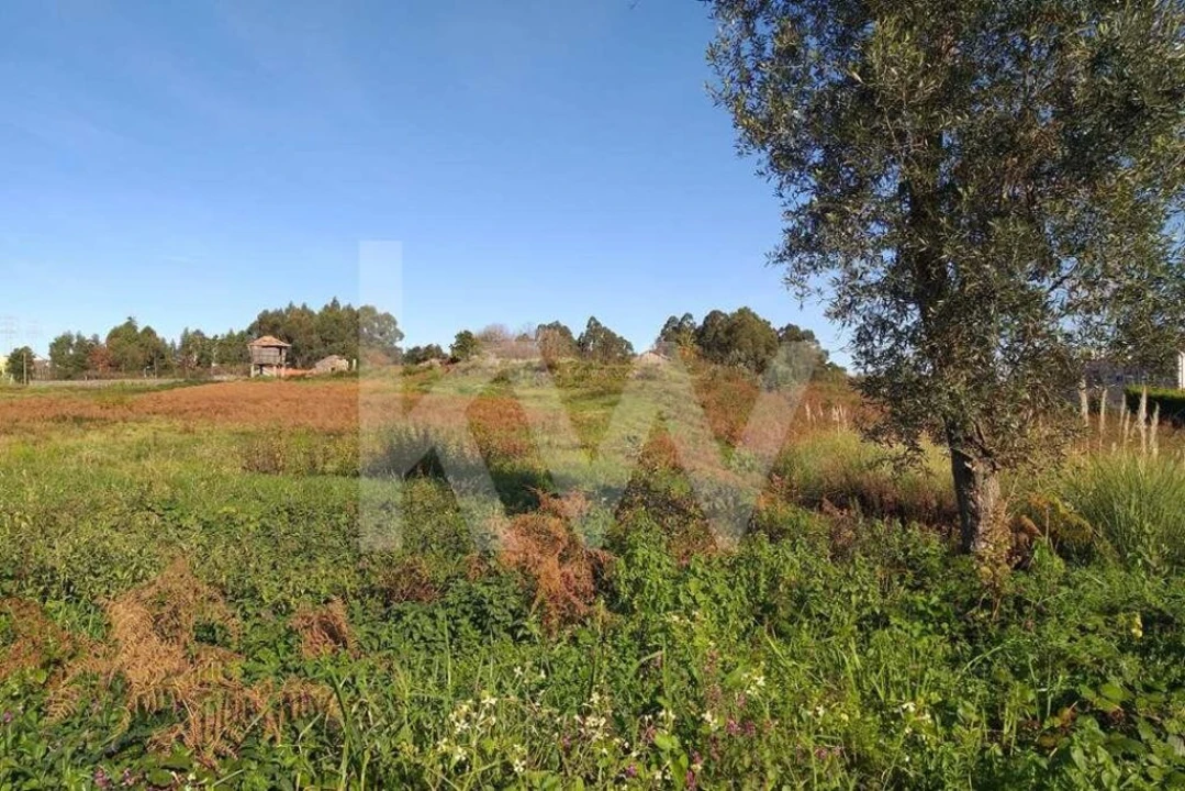 Terreno para Venda em Pedroso e Seixezelo Foto 7