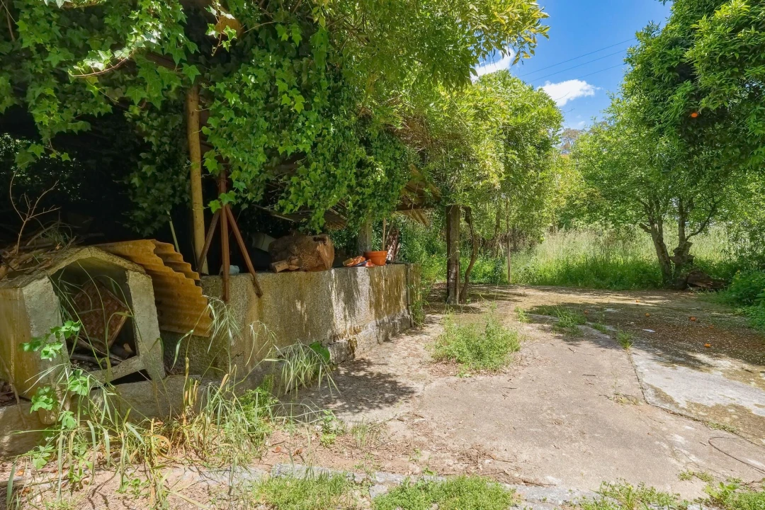 Moradia T5 para Venda em Macieira da Lixa e Caramos Foto 24