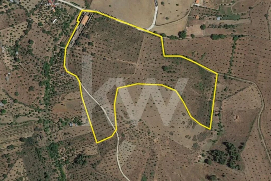 Quinta para Venda em Escalos de Baixo e Mata Foto 23