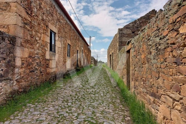 Quinta para Venda em Escalos de Baixo e Mata Foto 2
