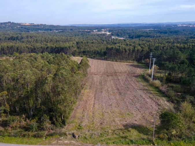 Terreno para Venda em Foz do Arelho Foto 6