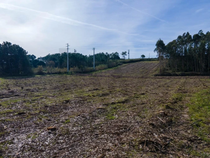 Terreno para Venda em Foz do Arelho Foto 9