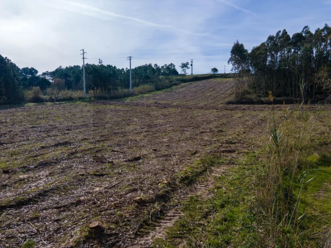 Terreno para Venda em Foz do Arelho Foto 10