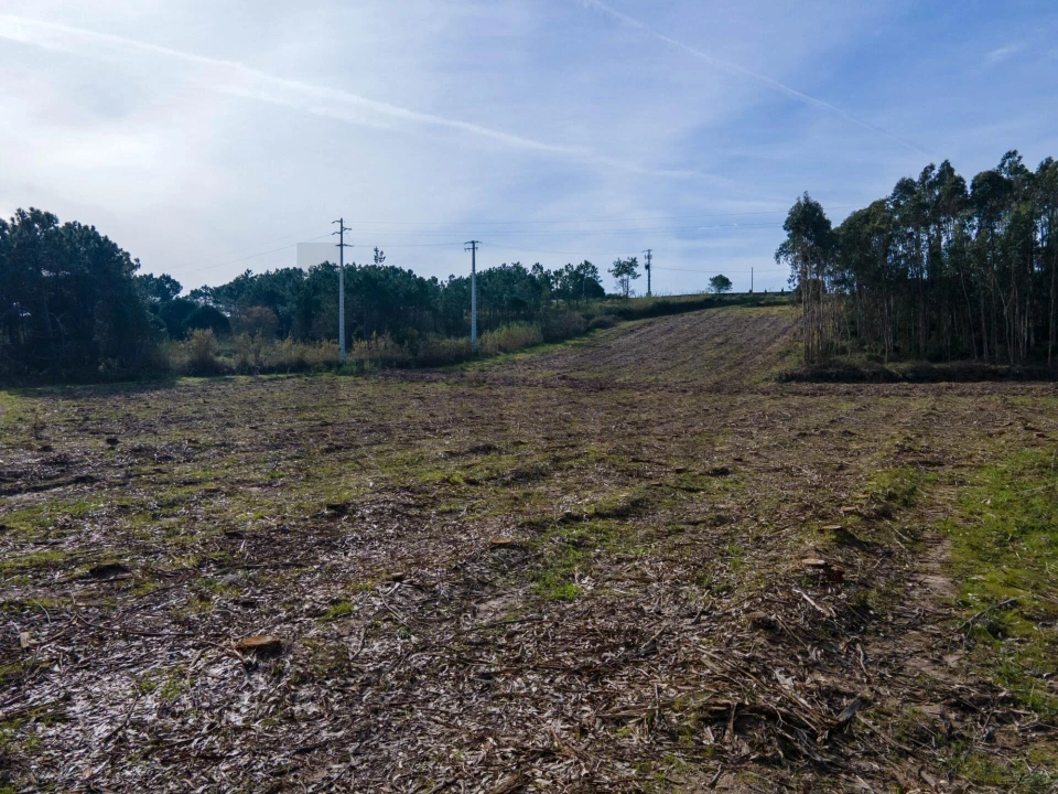 Terreno para Venda em Foz do Arelho Foto 9