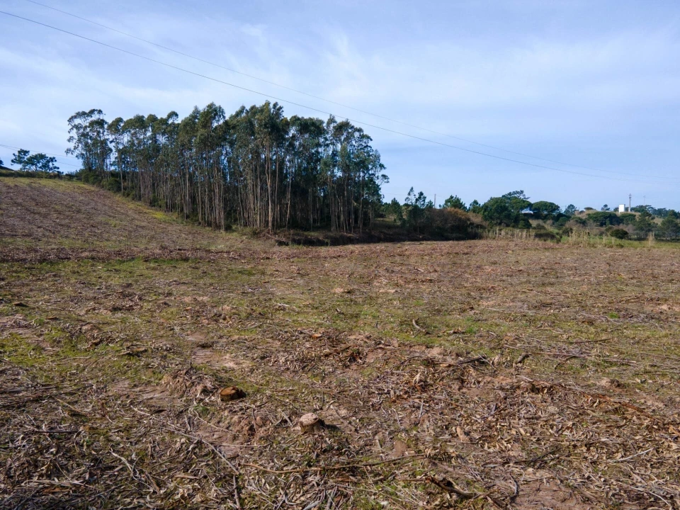 Terreno para Venda em Foz do Arelho Foto 7