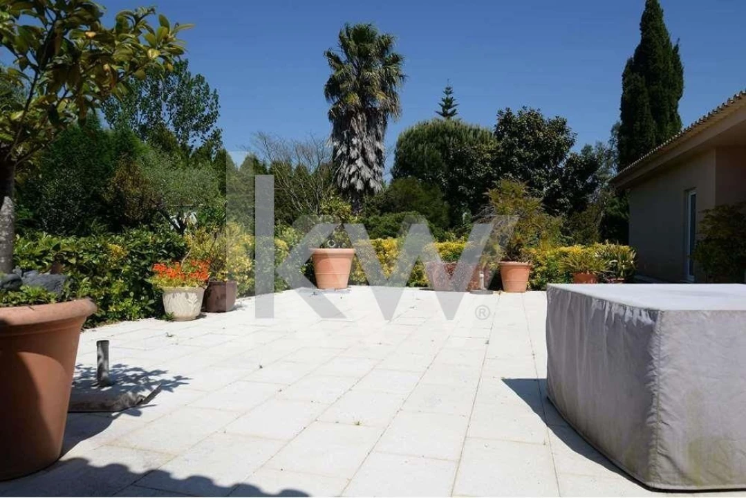 Moradia T4 para Venda em Oliveirinha Foto 43