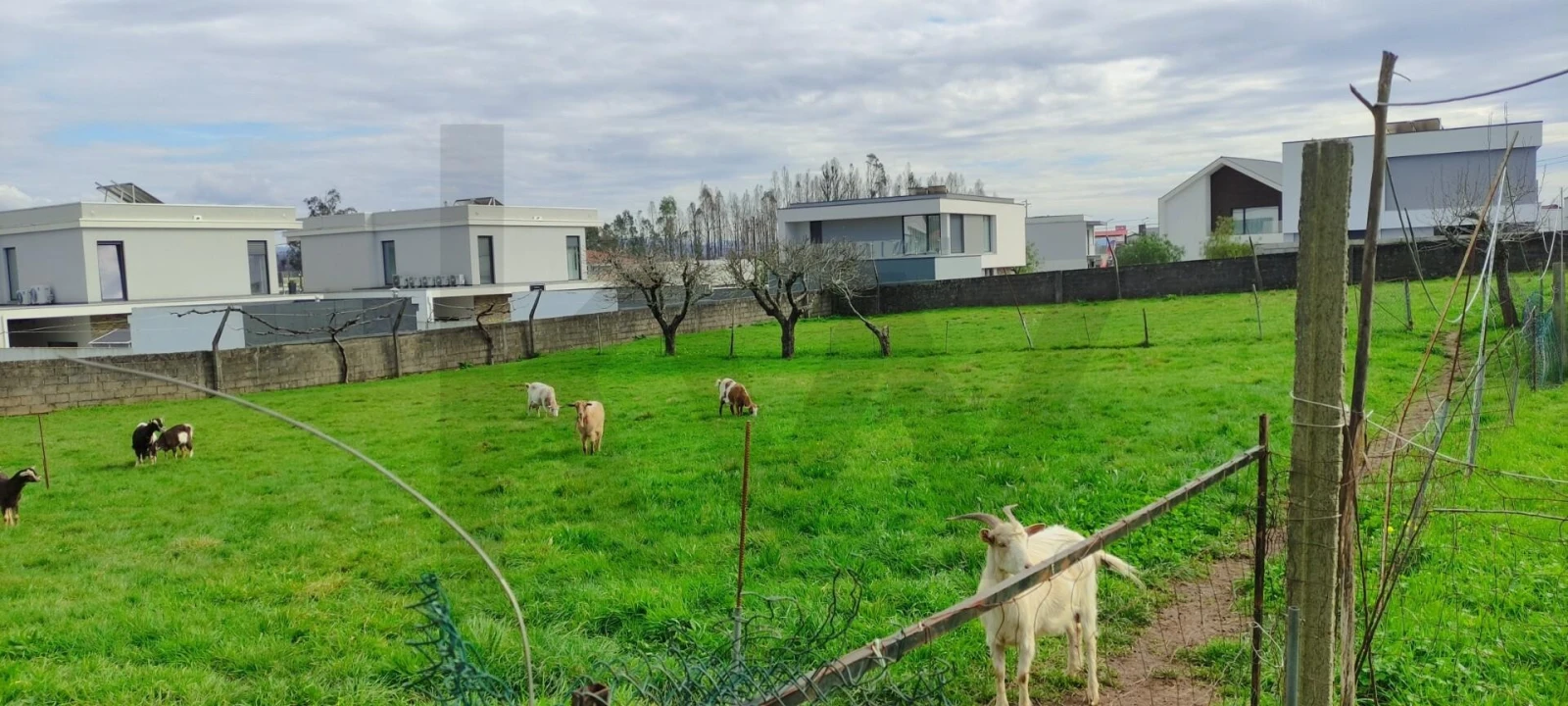 Moradia T4 para Venda em Albergaria-A-Velha e Valmaior Foto 1