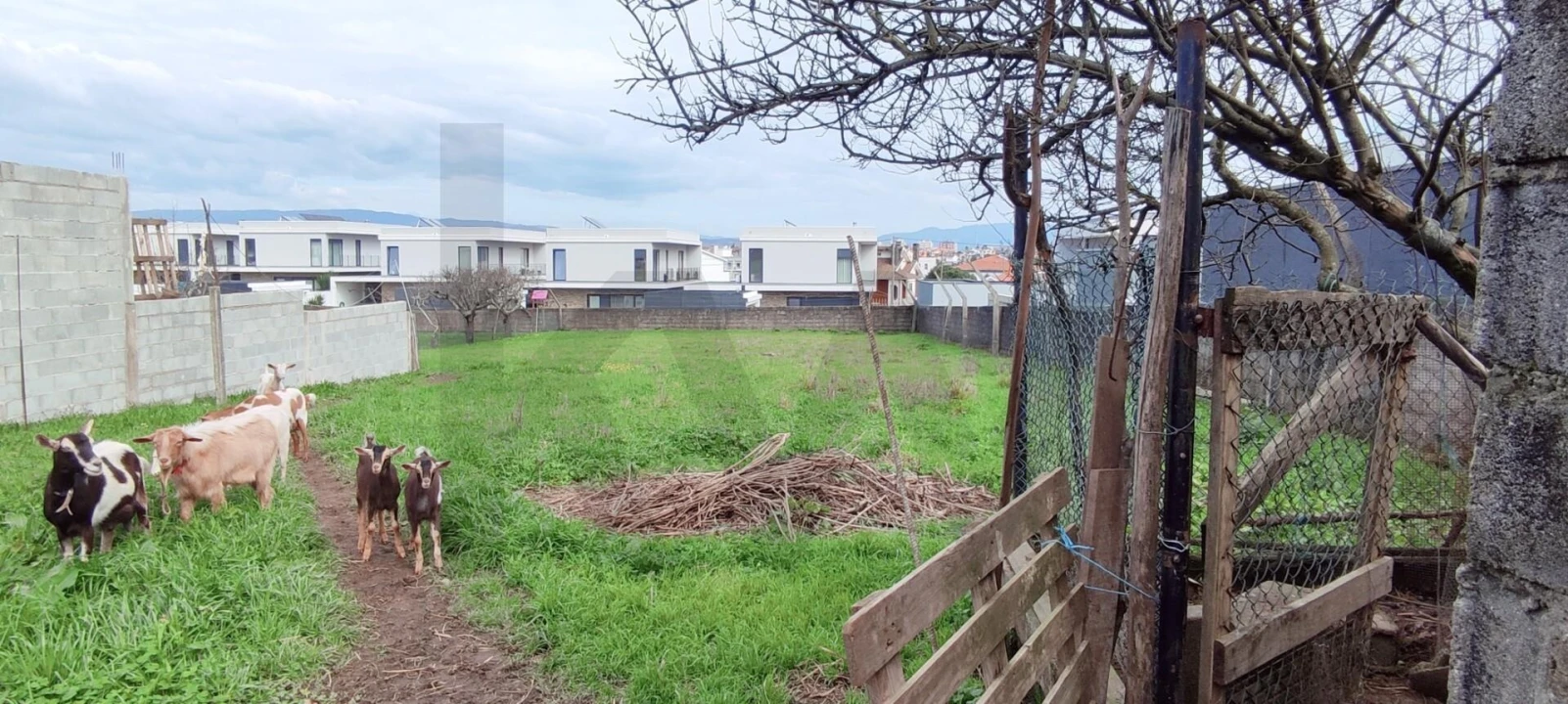 Moradia T4 para Venda em Albergaria-A-Velha e Valmaior Foto 7