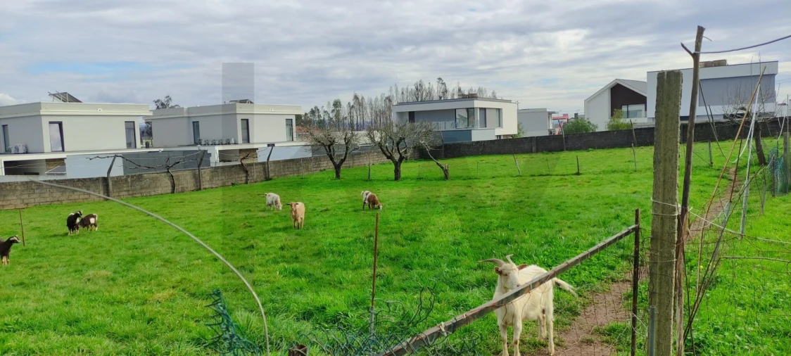 Moradia T4 para Venda em Albergaria-A-Velha e Valmaior Foto 1