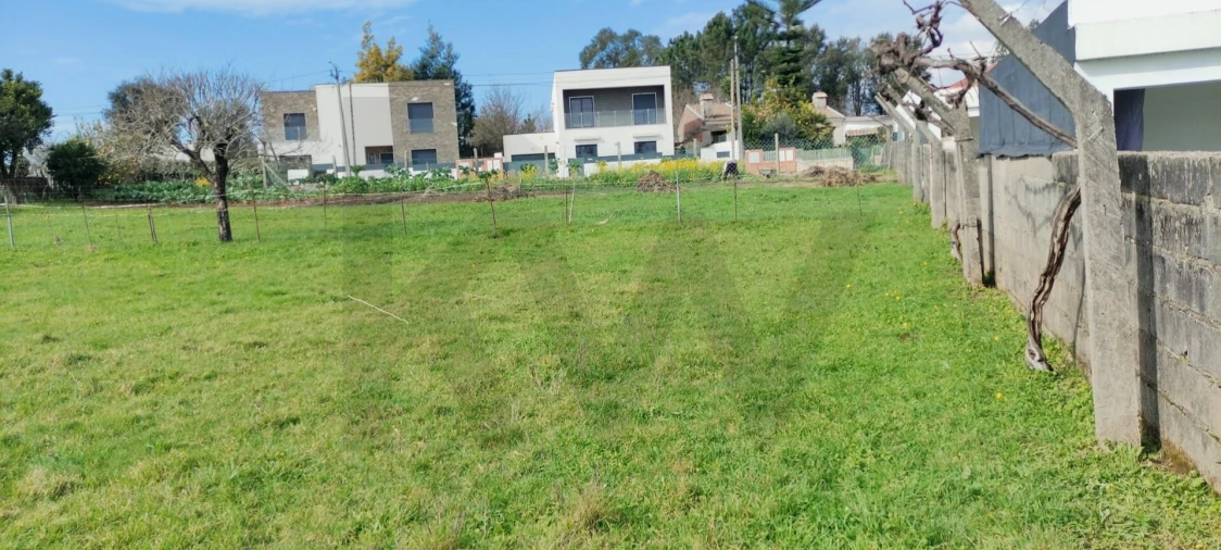 Moradia T4 para Venda em Albergaria-A-Velha e Valmaior Foto 6