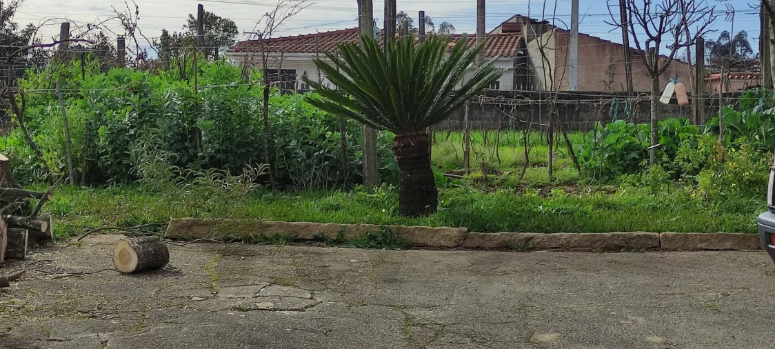 Moradia T4 para Venda em Albergaria-A-Velha e Valmaior Foto 9