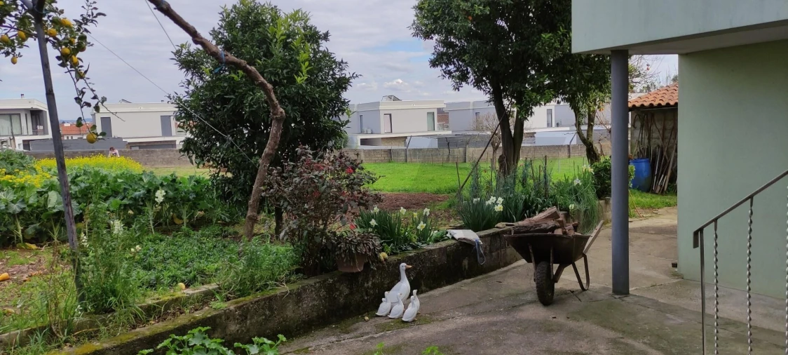 Moradia T4 para Venda em Albergaria-A-Velha e Valmaior Foto 11