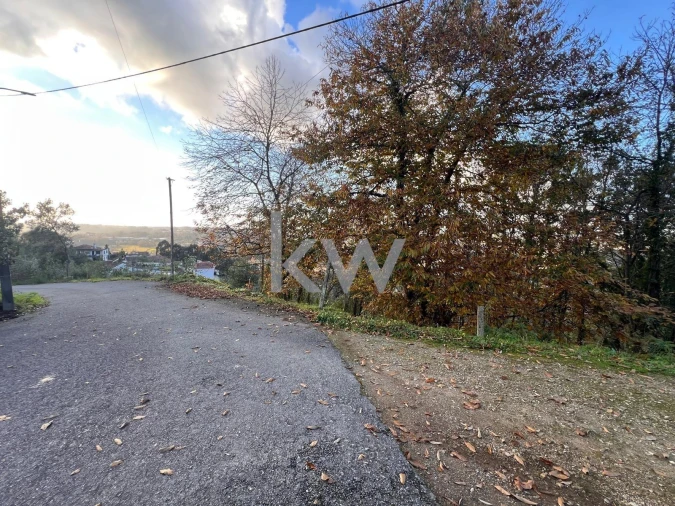 Terreno para Venda em O. Azeméis, Riba-Ul, Ul, Macinhata Seixa, Madail Foto 15