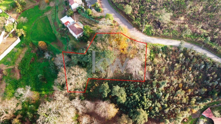 Terreno para Venda em O. Azeméis, Riba-Ul, Ul, Macinhata Seixa, Madail Foto 6