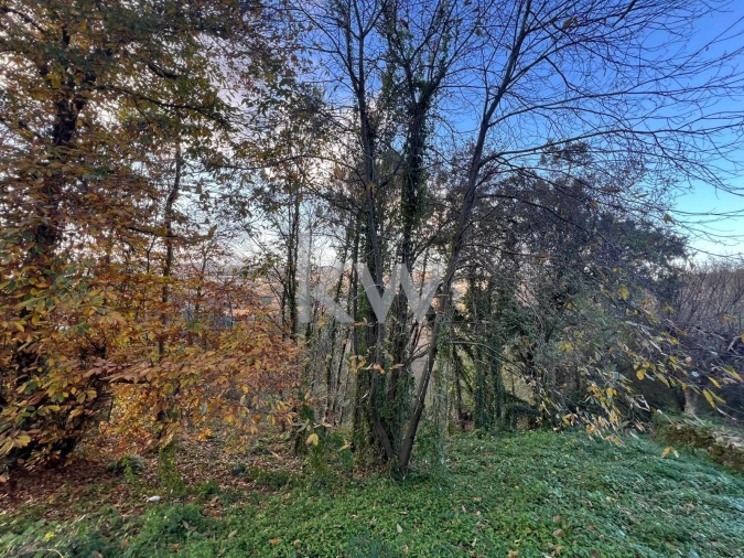 Terreno para Venda em O. Azeméis, Riba-Ul, Ul, Macinhata Seixa, Madail Foto 14