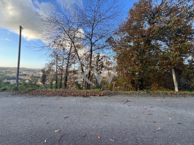 Terreno para Venda em O. Azeméis, Riba-Ul, Ul, Macinhata Seixa, Madail Foto 16