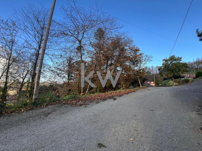 Terreno para Venda em O. Azeméis, Riba-Ul, Ul, Macinhata Seixa, Madail Foto 10