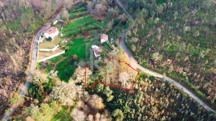 Terreno para Venda em O. Azeméis, Riba-Ul, Ul, Macinhata Seixa, Madail Foto 7