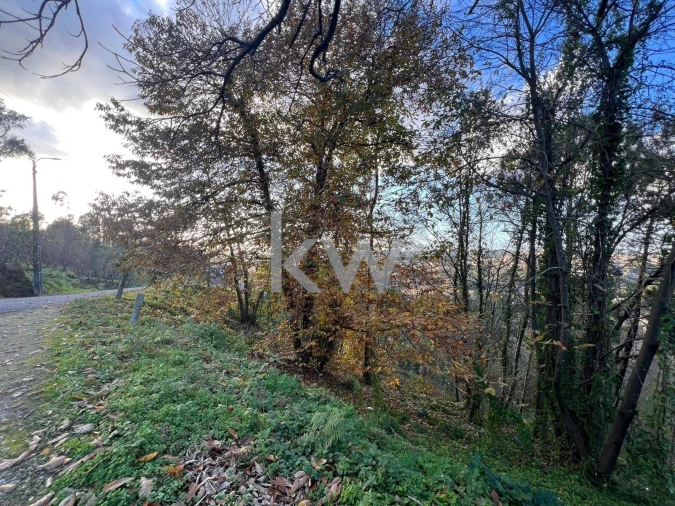 Terreno para Venda em O. Azeméis, Riba-Ul, Ul, Macinhata Seixa, Madail Foto 11