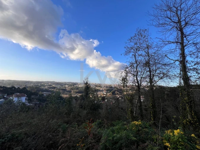 Terreno para Venda em O. Azeméis, Riba-Ul, Ul, Macinhata Seixa, Madail Foto 13