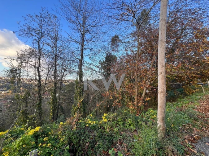 Terreno para Venda em O. Azeméis, Riba-Ul, Ul, Macinhata Seixa, Madail Foto 18