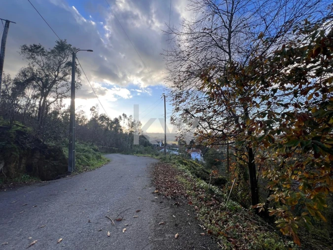 Terreno para Venda em O. Azeméis, Riba-Ul, Ul, Macinhata Seixa, Madail Foto 17