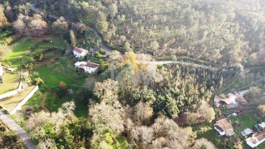 Terreno para Venda em O. Azeméis, Riba-Ul, Ul, Macinhata Seixa, Madail Foto 5