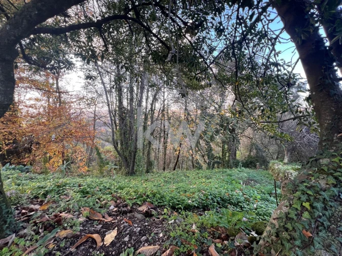 Terreno para Venda em O. Azeméis, Riba-Ul, Ul, Macinhata Seixa, Madail Foto 12