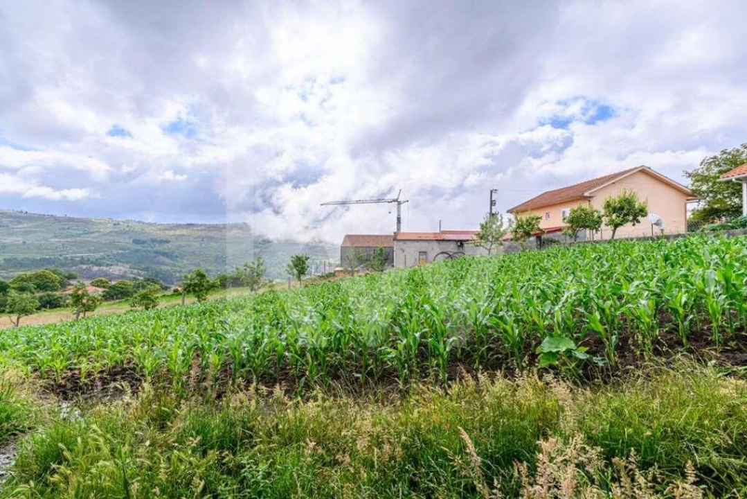 Negócio para Venda em Rio Douro Foto 50