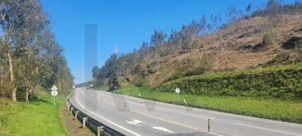Terreno para Venda em Santa Lucrécia de Algeriz e Navarra
