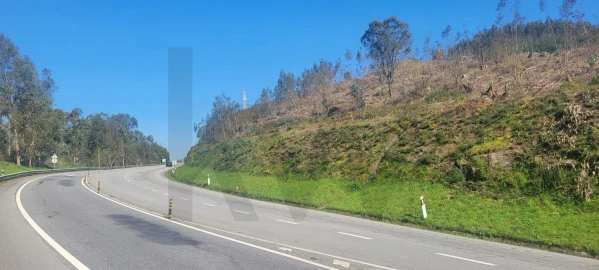 Terreno para Venda em Santa Lucrécia de Algeriz e Navarra