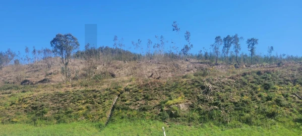 Terreno para Venda em Santa Lucrécia de Algeriz e Navarra